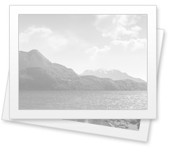 Owl Image