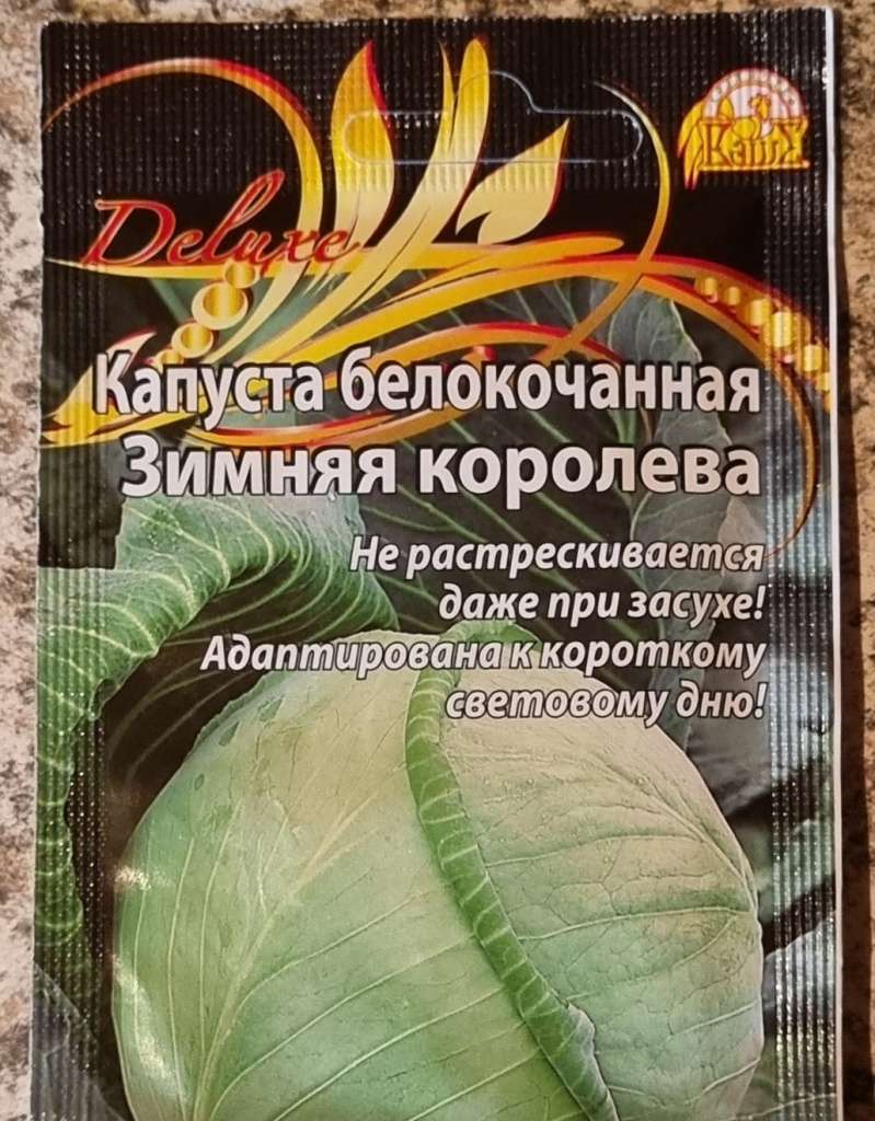 Белокочанная капуста &quot;Зимняя королева&quot; - царица огорода и застолья