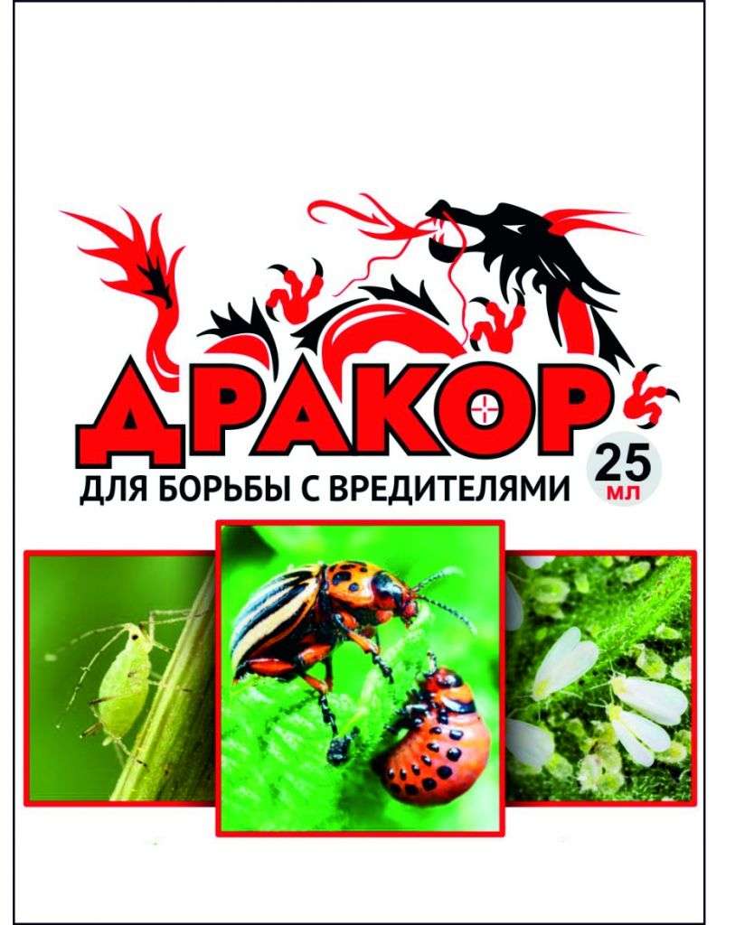 «Дракор» расправляет крылья. Надёжная защита картофеля от колорадского жука