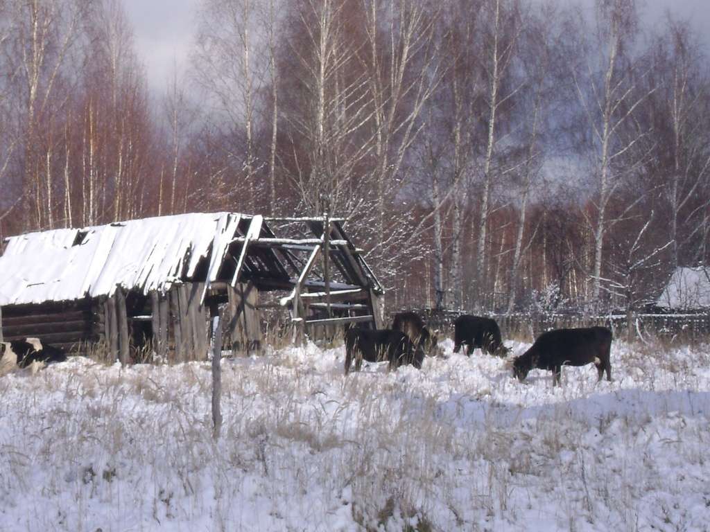 Где пасти?