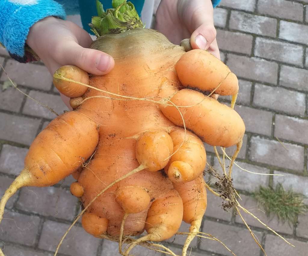 #