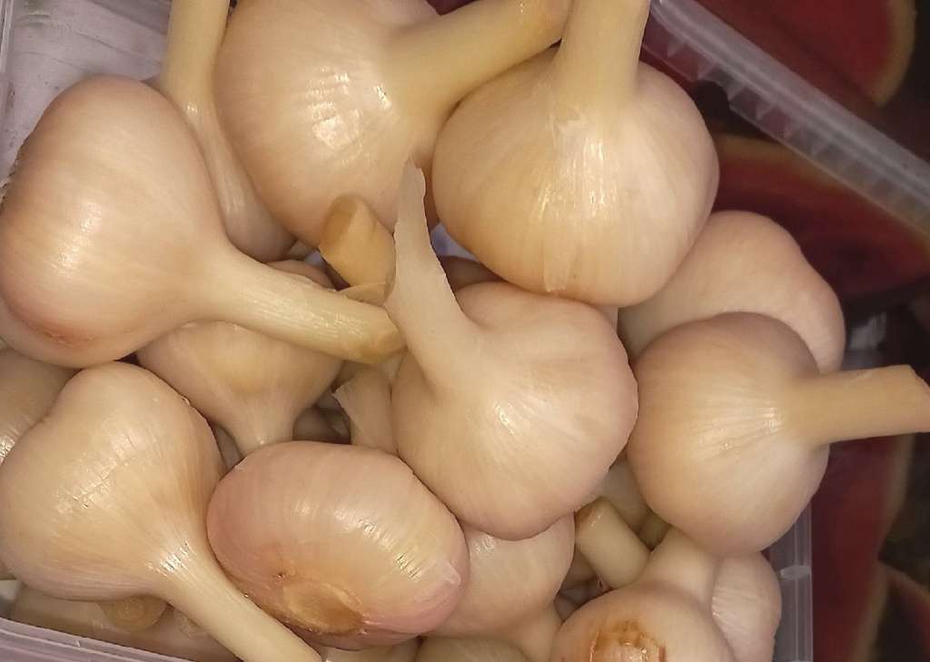 Консервирование чеснока на зиму, засолка, маринование. Рецепты