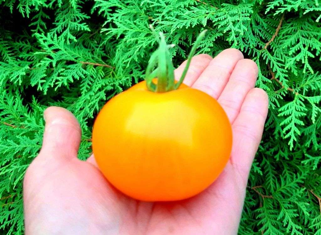 #