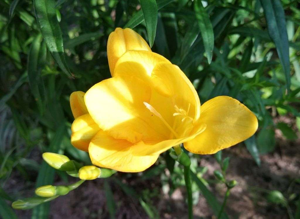 #