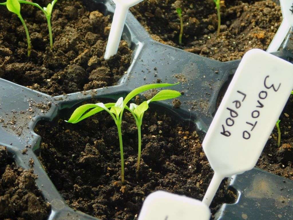 Основные работы на март и начало апреля