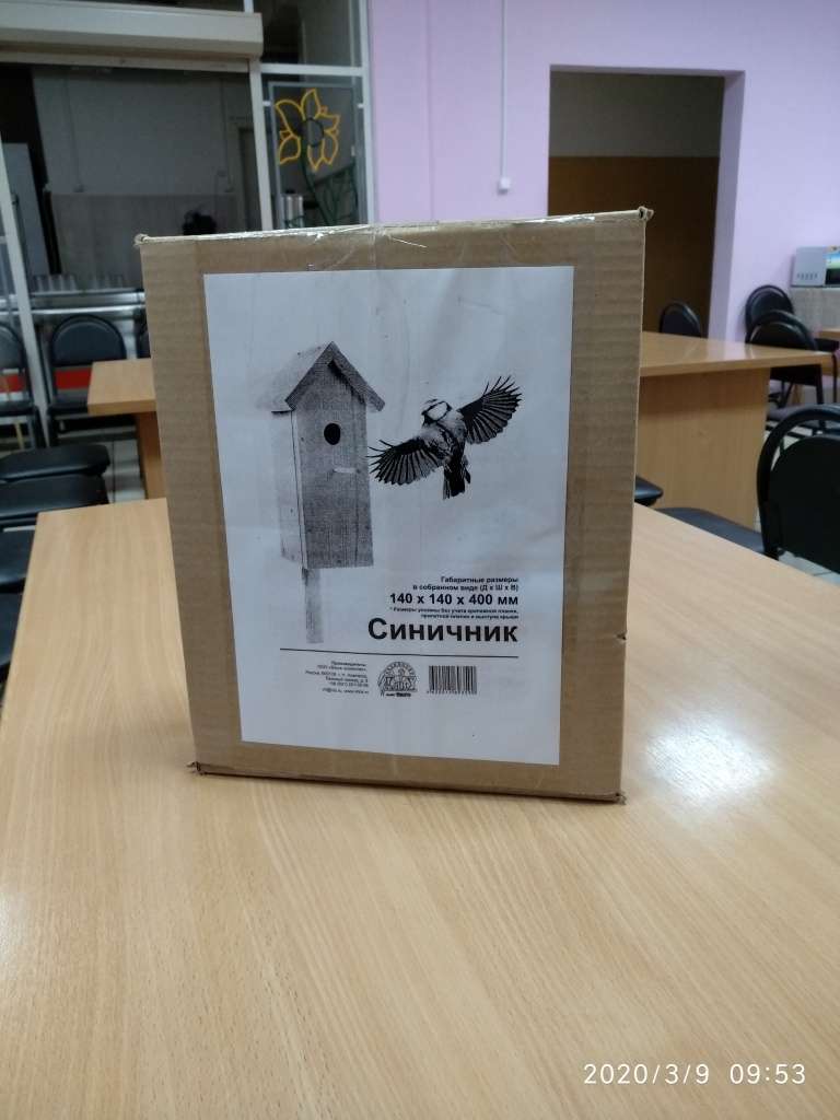 Полезная птица синица