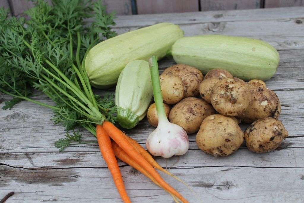 Рецепты овощных блюд и постного печенья