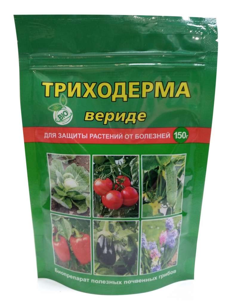 «Триходерма вериде»