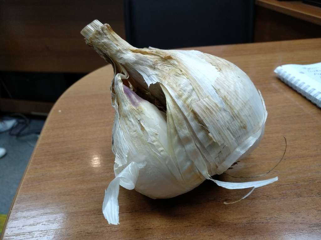 Удивительный рокамболь
