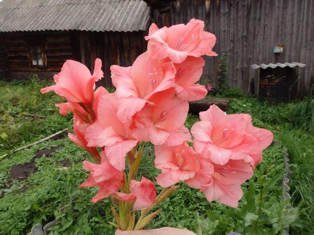 #