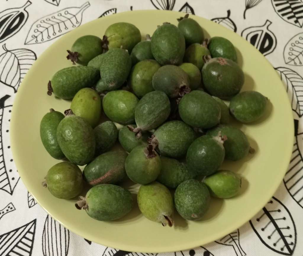 #