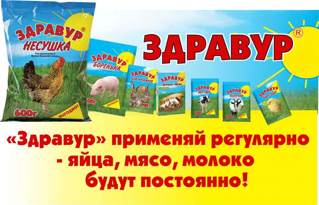 «Здравур» дарит здоровье!