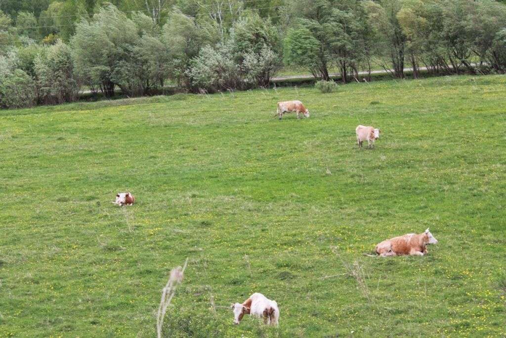 Жара…