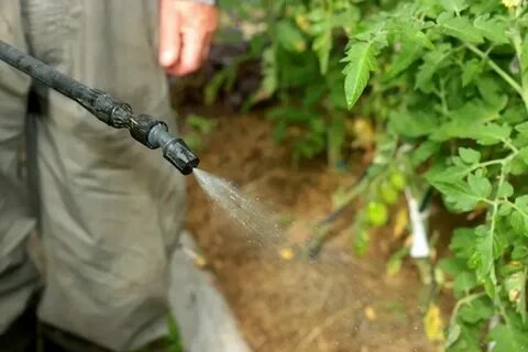 Азбука садовода. Некорневая подкормка