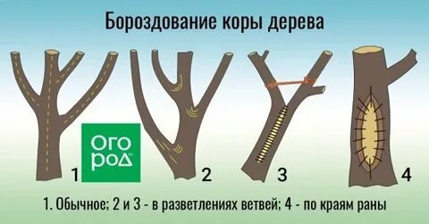 Бороздование