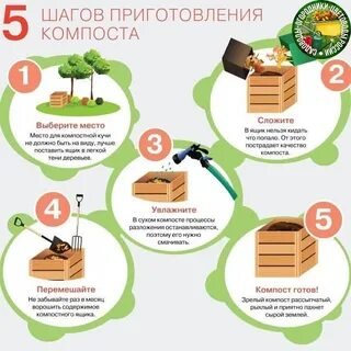 «Компостировать» правильно