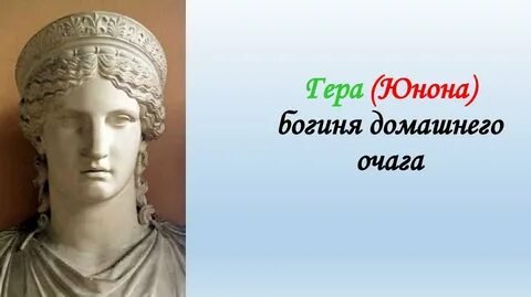 Красавица юнона