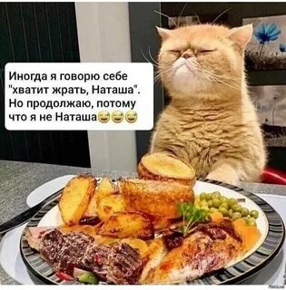 Не варите корма зря!