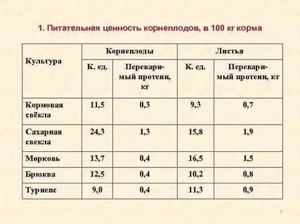 В чем ценность кормовой свеклы?
