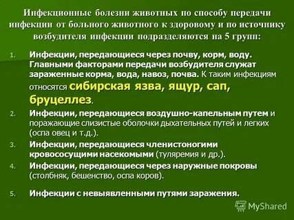 Заразные болезни животных